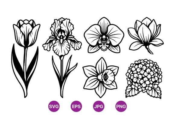 Download Elegant Black Line Flower Illustrations - Black line Collection