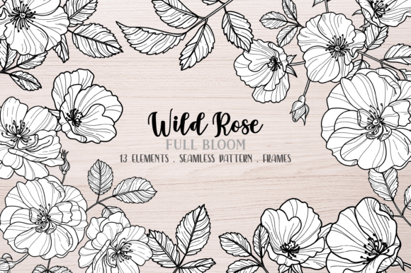 Download Vector Wild Rose Clipart, Black Line - Black line Collection